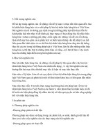 pháp luật về bảo hộ nhãn hiệu hàng hóa ở Việt Nam