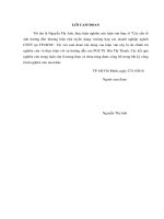 Các yếu tố ảnh hưởng đến thương hiệu nhà tuyển dụng  trường hợp các doanh nghiệp ngành công nghệ thông tin tại TP HCM 