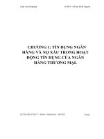 Giải pháp ngăn ngừa và xử lý nợ xấu tại ngân hàng công thương chi nhánh khu công nghiệp bình dương