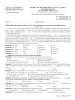 Đề thi thử THPT Quốc gia năm 2017 môn Tiếng Anh trường THPT Yên Lạc, Vĩnh Phúc có đáp án 