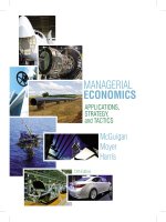 Managerial economics applications strategy and tactics 13e mcguigan moyer and hariss
