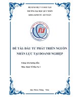 đầu tư phát triển nguồn nhân lực tại doanh nghiệp 