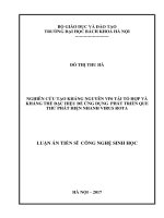 Nghiên cứu tạo kháng nguyên VP6 tái tổ hợp và kháng thể đặc hiệu để ứng dụng phát triển que thử phát hiện nhanh virus rota