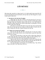 Báo cáo Lưới điện của Công ty điện lực Thủ Đức