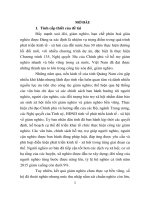 Giải pháp chính sách giảm nghèo bền vững từ thực tiễn tỉnh quảng nam (tóm tắt)
