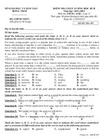 Bộ đề thi học kỳ 2 môn Tiếng Anh lớp 12 có đáp án (4) 