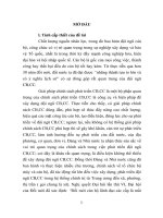 Giải pháp chính sách phát triển cán bộ, công chức từ thực tiễn tỉnh quảng nam (tóm tắt) 