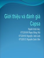 Báo cáo quản trị hệ thống mạng với công cụ Capsa