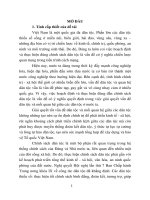 Thực hiện chính sách dân tộc từ thực tiễn huyện sơn hà, tỉnh quảng ngãi (tt)