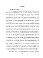 Luận văn Thực hiện chính sách phát triển kinh tế biển từ thực tiễn huyện đảo Lý Sơn, tỉnh Quảng Ngãi.PDF