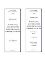 Ảnh hưởng của năng lực nhà khởi nghiệp và môi trường khởi nghiệp đến kết quả hoạt động của doanh nghiệp vừa và nhỏ tại lào