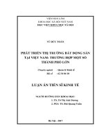 Giải pháp thúc đẩy phát triển thị trường bất động sản tại việt nam, trường hợp một số thành phố lớn