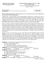 Đề thi thử THPT Quốc gia năm 2017 môn Tiếng Anh trường THPT chuyên Nguyễn Quang Diêu, Đồng Tháp có đáp án (Lần 1) 