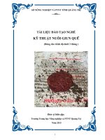 GT kỹ thuật nuôi giun quế