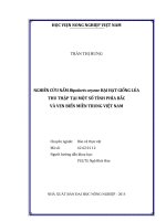 nghiên cứu nấm bipolaris oryzaehại hạt giống lúa  thu thập tại một số tỉnh phía bắc  và ven biển miền trung việt nam 