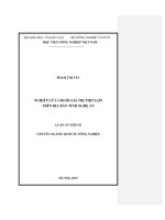nghiên cứu chuỗi giá trị thịt lợn  trên địa bàn tỉnh nghệ an 