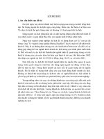 Một số giải pháp  nâng cao hiệu quả của việc thu hút khách du lịch nội địa tai công ty du lịch dịch vụ hà nội