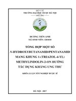 Tổng hợp một số N-hydroxybutanamid/pentanamid mang khung 1-(triazol-4-yl)methylindolin-2-on hướng tác dụng kháng ung thư