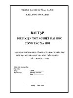 Tiểu luận mẫu  Đề tài: VẬN DỤNG PHƯƠNG PHÁP CÔNG TÁC XÃ HỘI CÁ NHÂN TRỢ GIÚP NẠN NHÂN BẠO LỰC GIA ĐÌNH TRÊN ĐỊA BÀN  XÃ ......HUYỆN .....TỈNH