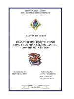 Phân tích tình hình tài chính công ty cổ phần mekong cần thơ 