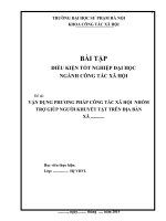 Tiểu luận mẫu  Đề tài: VẬN DỤNG PHƯƠNG PHÁP CÔNG TÁC XÃ HỘI  NHÓM TRỢ GIÚP NGƯỜI KHUYẾT TẬT