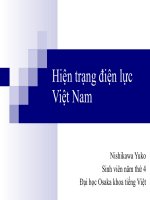 Hiện trạng điện lực việt nam 