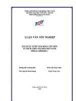 Sản xuất nước giải khát lên men từ dịch chiết đài hoa bụp giấm hibiscus sabdariffa L