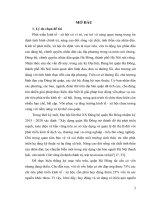 LUẬN văn THẠC sĩ   HUY ĐỘNG vốn CHO PHÁT TRIỂN KINH tế xã hội ở QUẬN hà ĐÔNG, THÀNH PHỐ hà nội