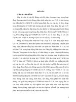 LUẬN văn THẠC sĩ   bồi DƯỠNG NĂNG lực CÔNG tác xây DỰNG ĐẢNG CHO cấp ủy VIÊN ở TRUNG tâm NHIỆT đới VIỆT   NGA HIỆN NAY