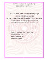 Tiểu luận mẫu  Đề tài:VẬN DỤNG PHƯƠNG PHÁP PHÁT TRIỂN CỘNG ĐỒNG NÂNG CAO HIỆU QUẢ CÔNG TÁC GIẢM NGHÈO  TRÊN ĐỊA BÀN PHƯỜNG TRÀ CỔ  TP. MÓNG CÁI