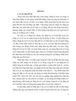 LUẬN văn THẠC sĩ   NÂNG CAO CHẤT LƯỢNG các ĐẢNG bộ xã ở TỈNH bạc LIÊU HIỆN NAY