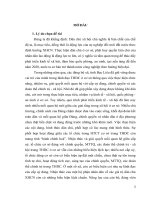 LUẬN văn THẠC sĩ   HOẠT ĐỘNG LÃNH đạo THỰC HIỆN dân CHỦ ở cơ sở của các ĐẢNG bộ xã, TỈNH bạc LIÊU HIỆN NAY