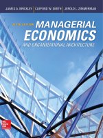 Managerial economics and organizational architecture 5th brickley