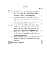 LUẬN văn THẠC sĩ   HUYỆN ủy hòa BÌNH, TỈNH bạc LIÊU LÃNH đạo xây DỰNG GIAO THÔNG NÔNG THÔN GIAI đoạn HIỆN NAY