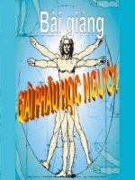 Bài giảng giải phẫu học người 