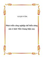 Phát triển công nghiệp chế biến nông sản ở tỉnh tiền giang hiện nay