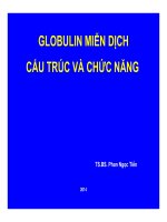GLOBULIN MIỄN DỊCH CẤU TRÚC VÀ CHỨC NĂNG