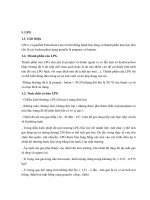 Tính toán thiết kế bể chứa LPG lạnh theo tiêu chuẩn API 620  API 650