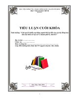 tiểu luận cuối khóa lớp chuyên viên chính