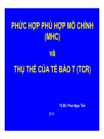 PHỨC HỢP PHÙ HỢP MÔ CHÍNH (MHC) và THỤ THỂ CỦA TẾ BÀO T (TCR)
