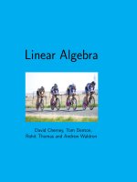 Linear Algebra math by english