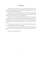 Nghiên cứu mức độ sự hài lòng của nhân viên tại Công ty Điện Lực Hải Dương, Tỉnh Hải Dương, Việt Nam