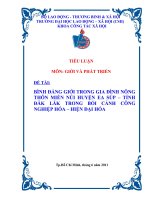 bình đẳng giới trong gia đình nông thôn miền núi huyện ea súp – tỉnh đăk lăk trong bối cảnh công nghiệp hóa – hiện đại hóa 