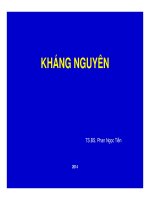Bài giảng y sinh Antigen kháng nguyên