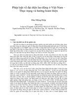 Pháp luật về đại diện lao động ở Việt Nam – Thực trạng và hướng hoàn thiện