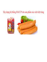 Xây dựng hệ thống HACCP cho sản phẩm xúc xích tiệt trùng 