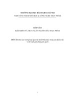 Báo cáo trường hợp gian lận chất melamine trong sản phẩm sữa và đề xuất giải pháp giải quyết 