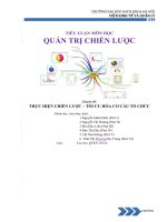 Tiểu luận môn quản trị chiến lược thực hiện chiến lược tối ưu hóa cơ cấu tổ chức 