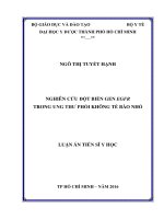 NGHIÊN cứu đột BIẾN GEN EGFR TRONG UNG THƢ PHỔI KHÔNG tế bào NHỎ 