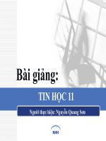 Bài giảng tin học 11 